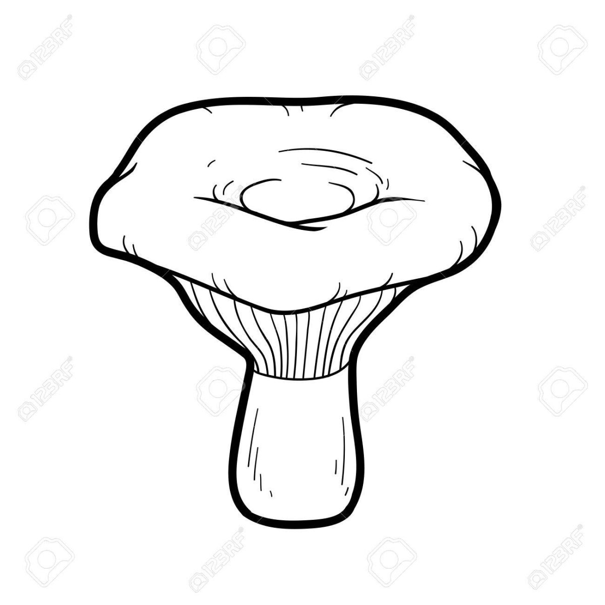 Гриб Рыжик раскраска