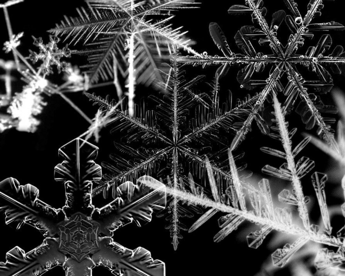 Зима снежинки