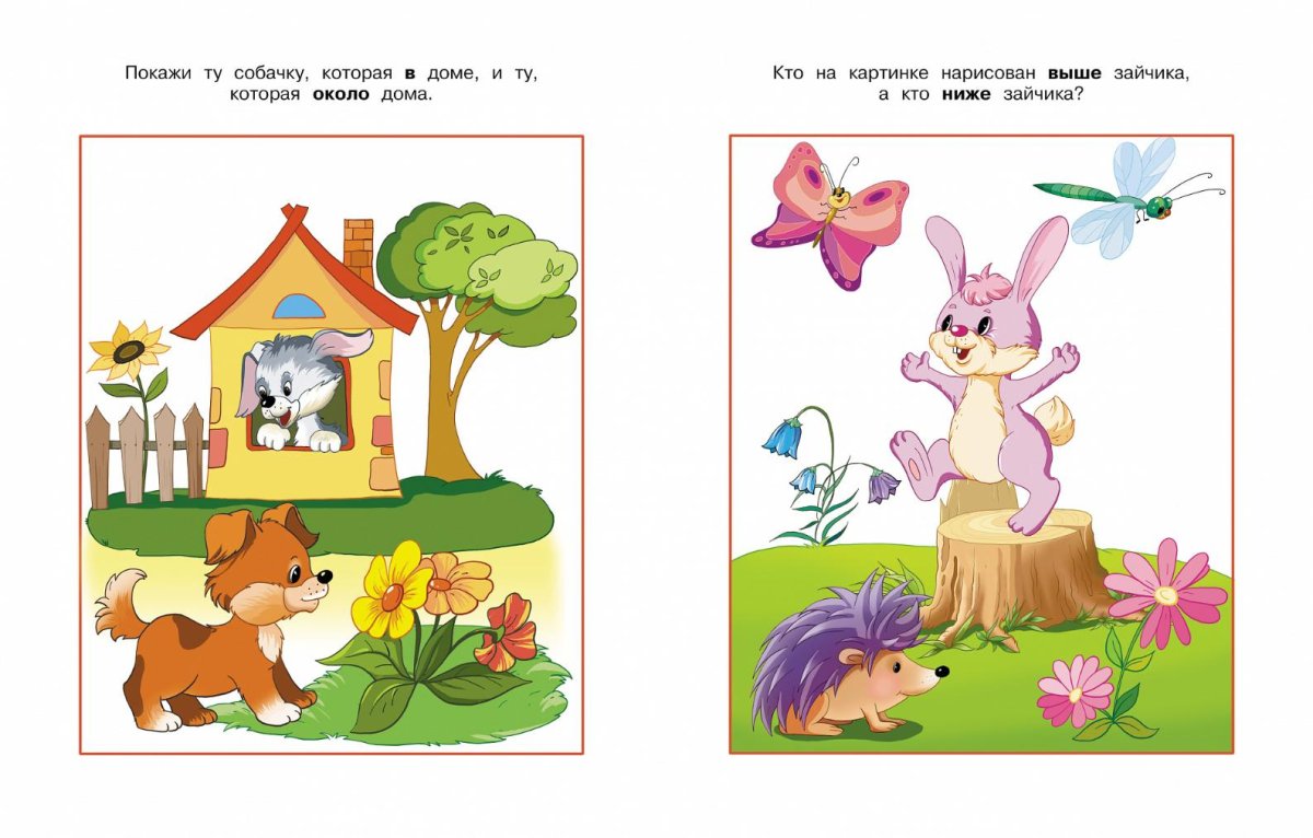 Ориентировка в пространстве