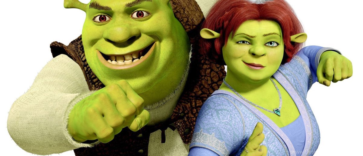Шрек и Фиона 18