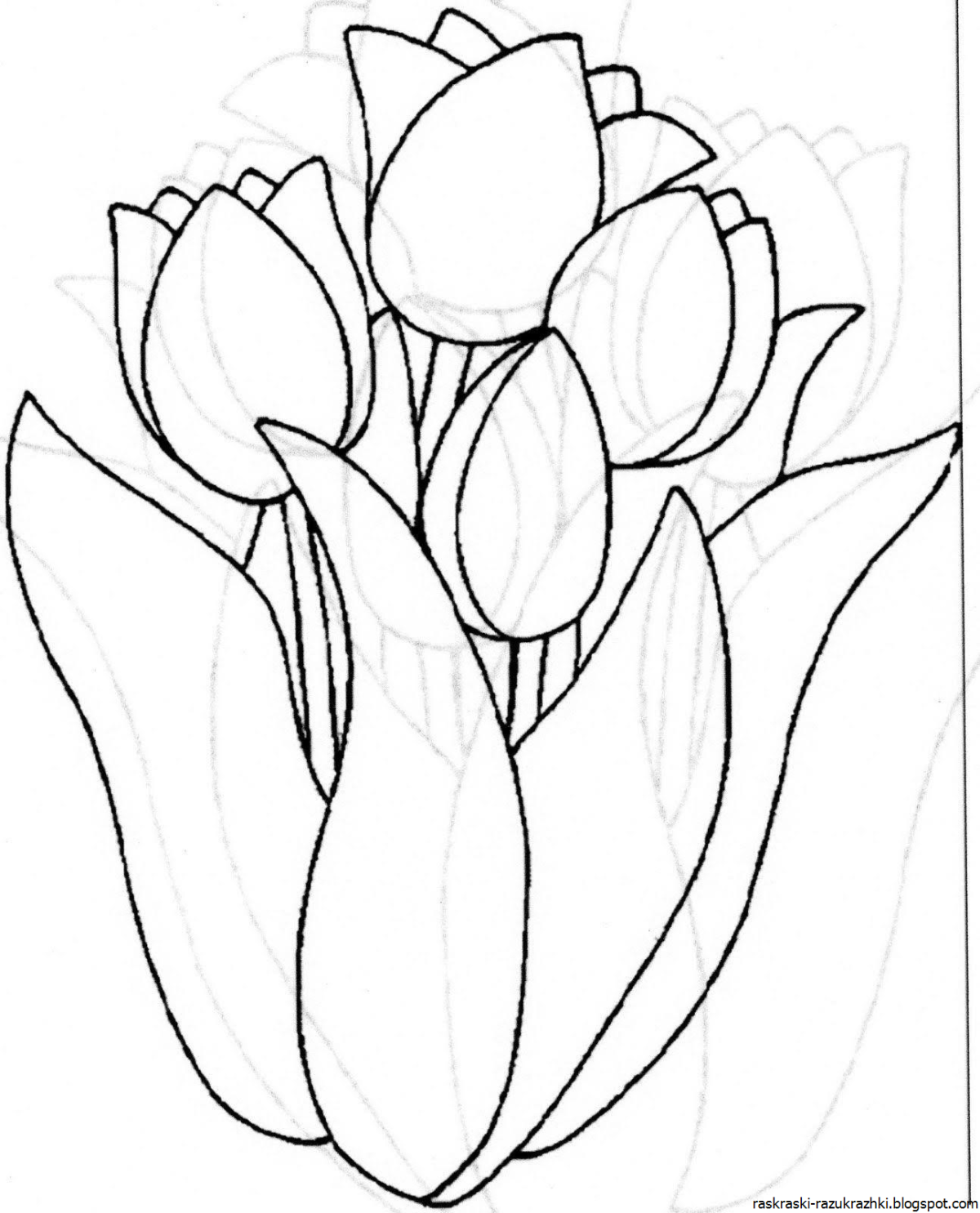 Тюльпан для детей