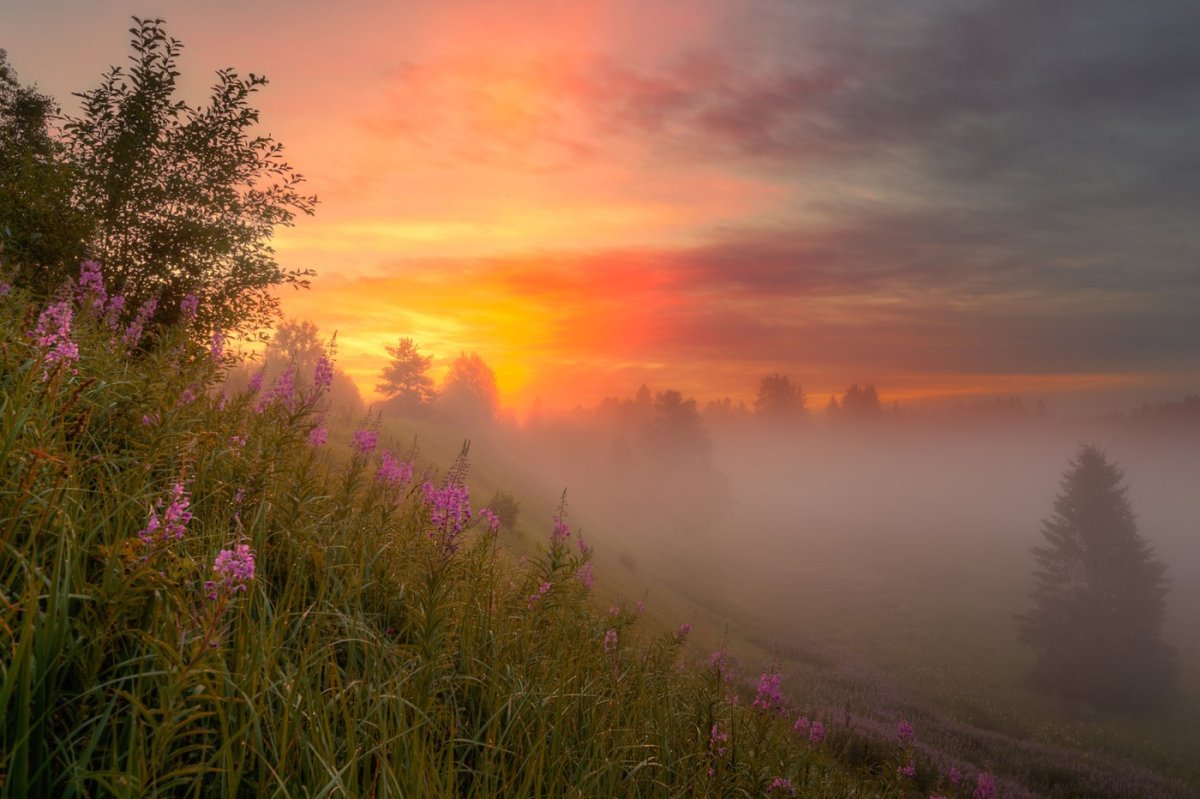 Горы в цветах