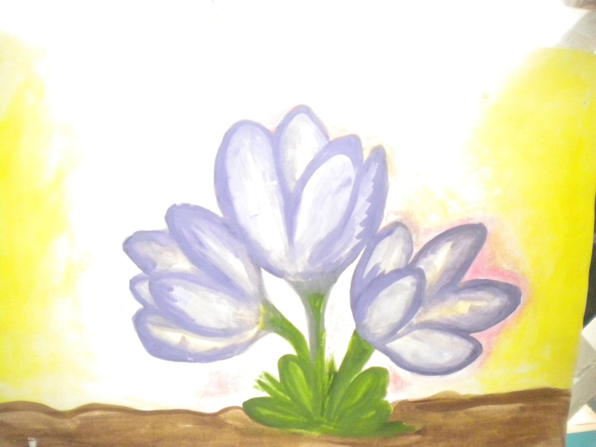 Первоцветы для дошкольников