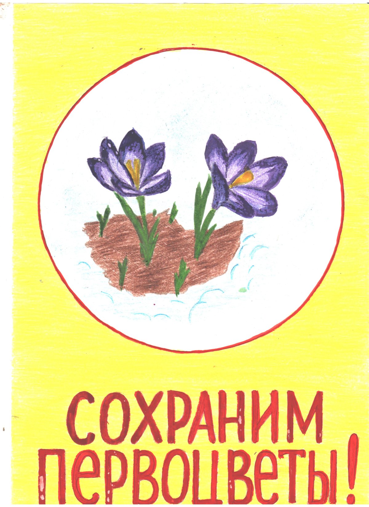 Подснежники рисунок