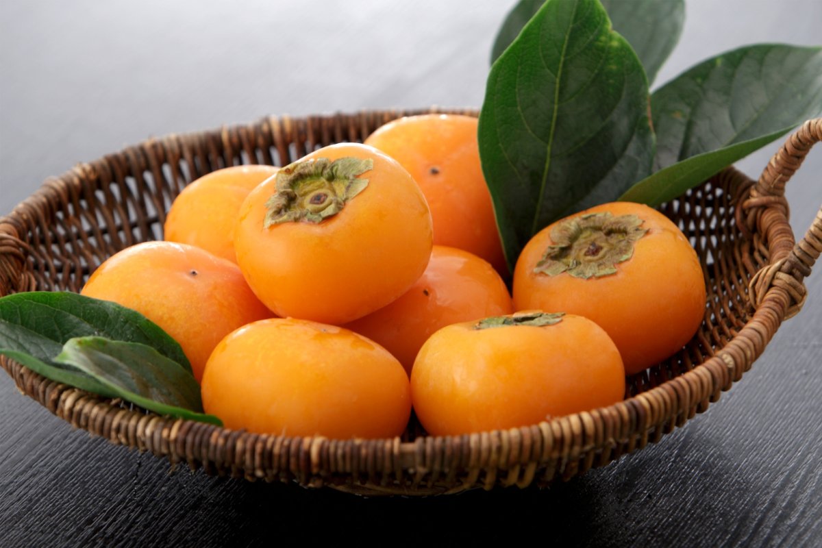 Хурма сахарная