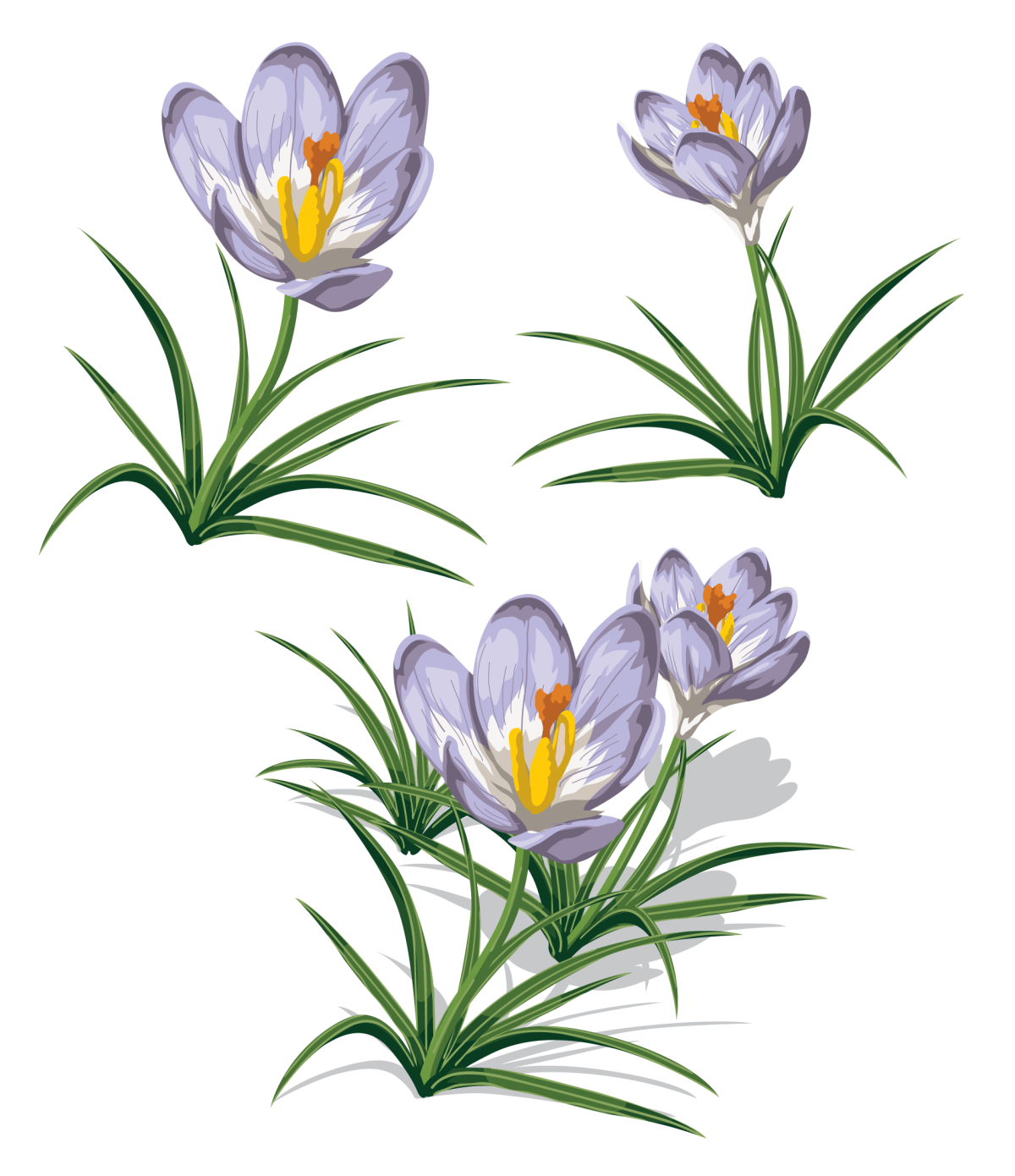 Подснежники рисунок