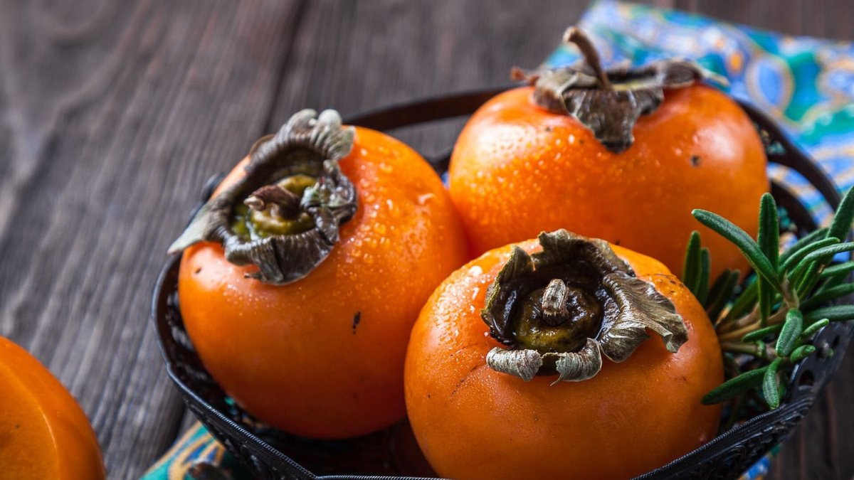 Хурма шоколадная Королек