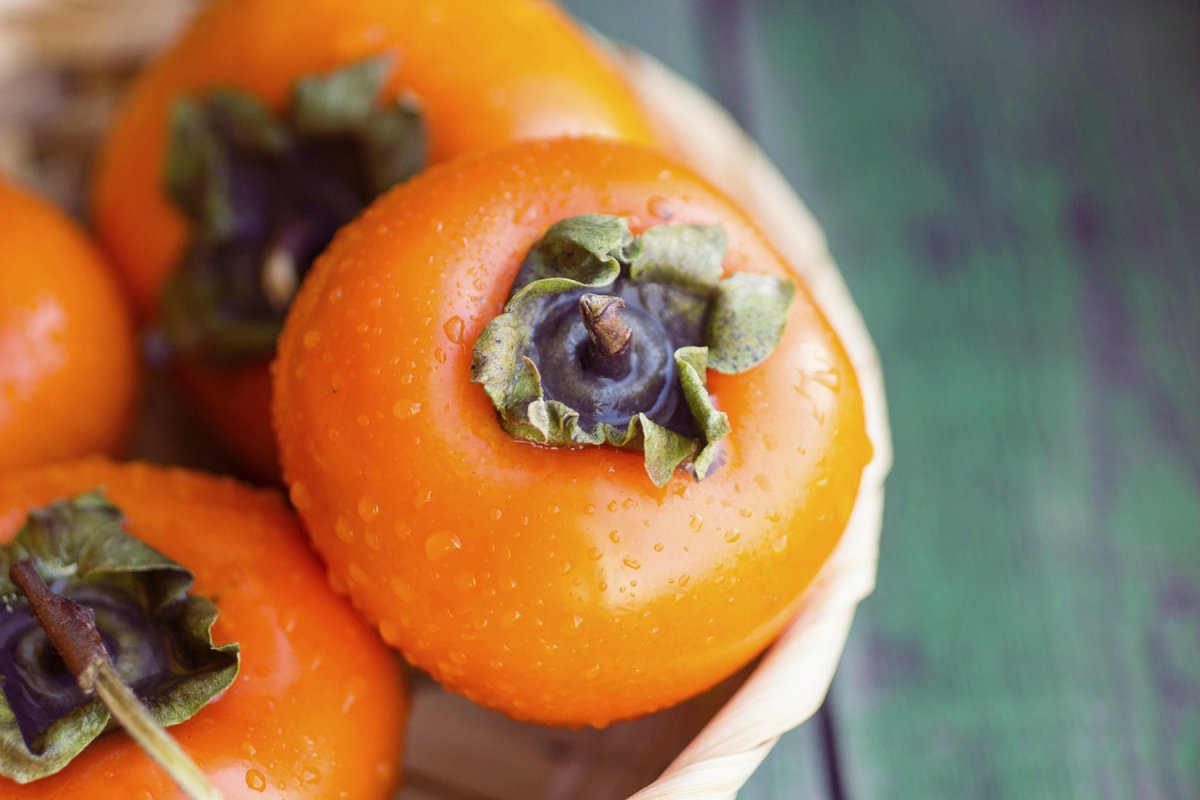 Хурма Узбекистан