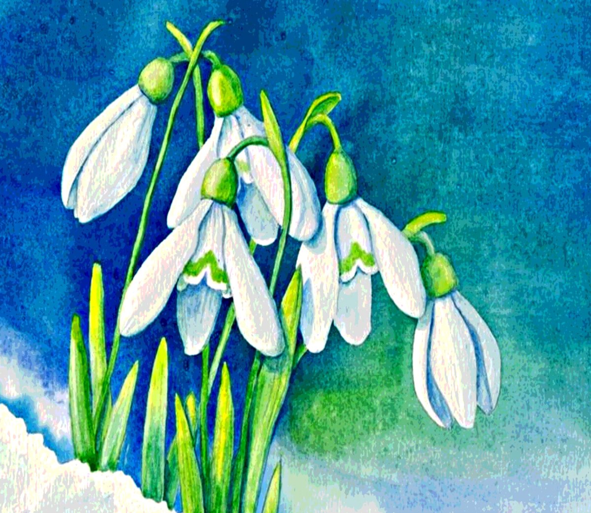 Цветы для вырезания цветные объемные