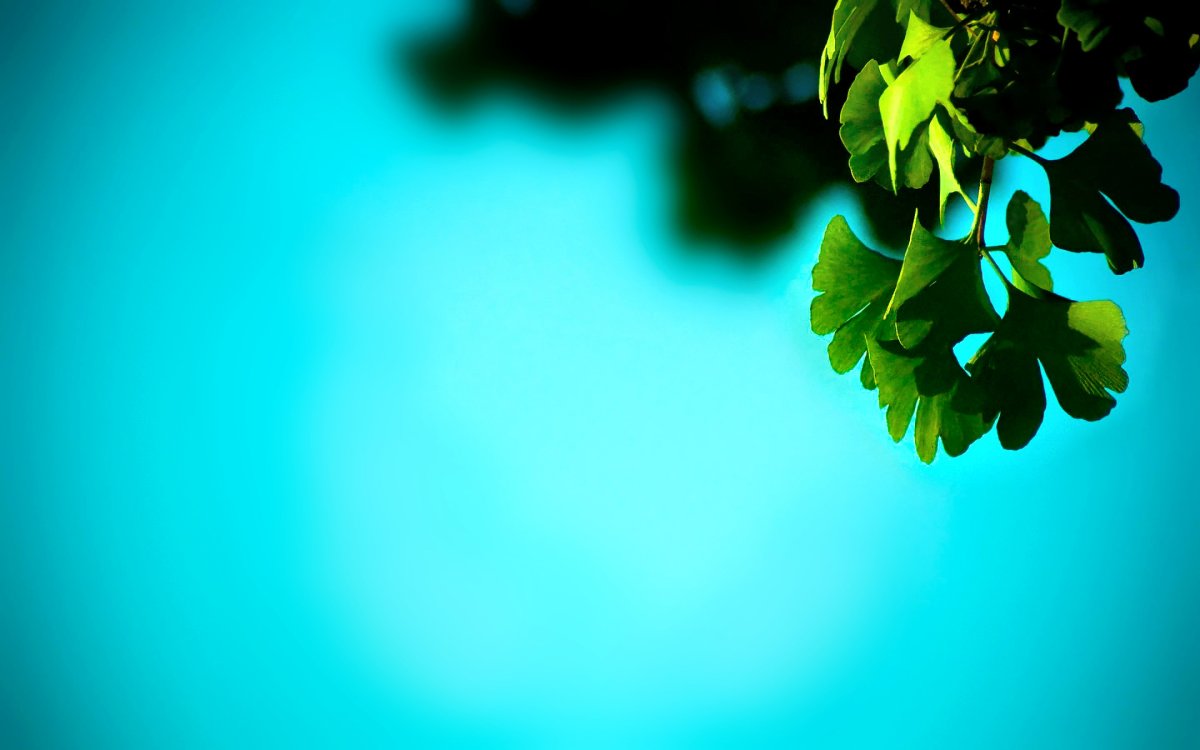 Заставка на рабочий стол нейтральная