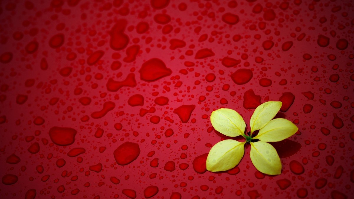 Фоновый рисунок