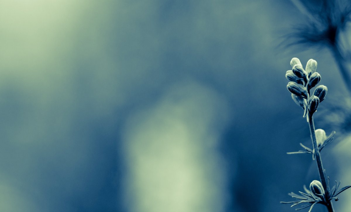 Спокойный фон