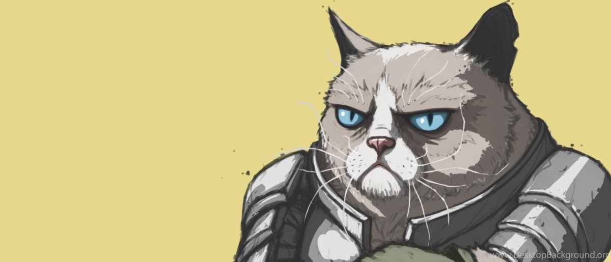 Кот Самурай