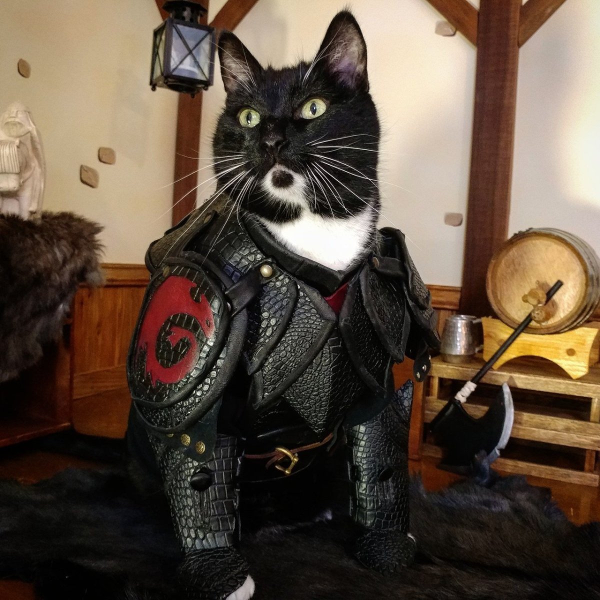 Кот в доспехах