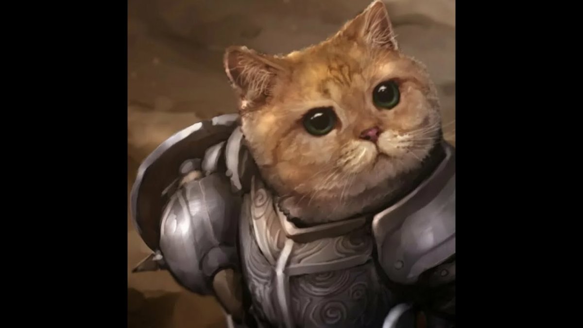 Кот в рыцарских доспехах