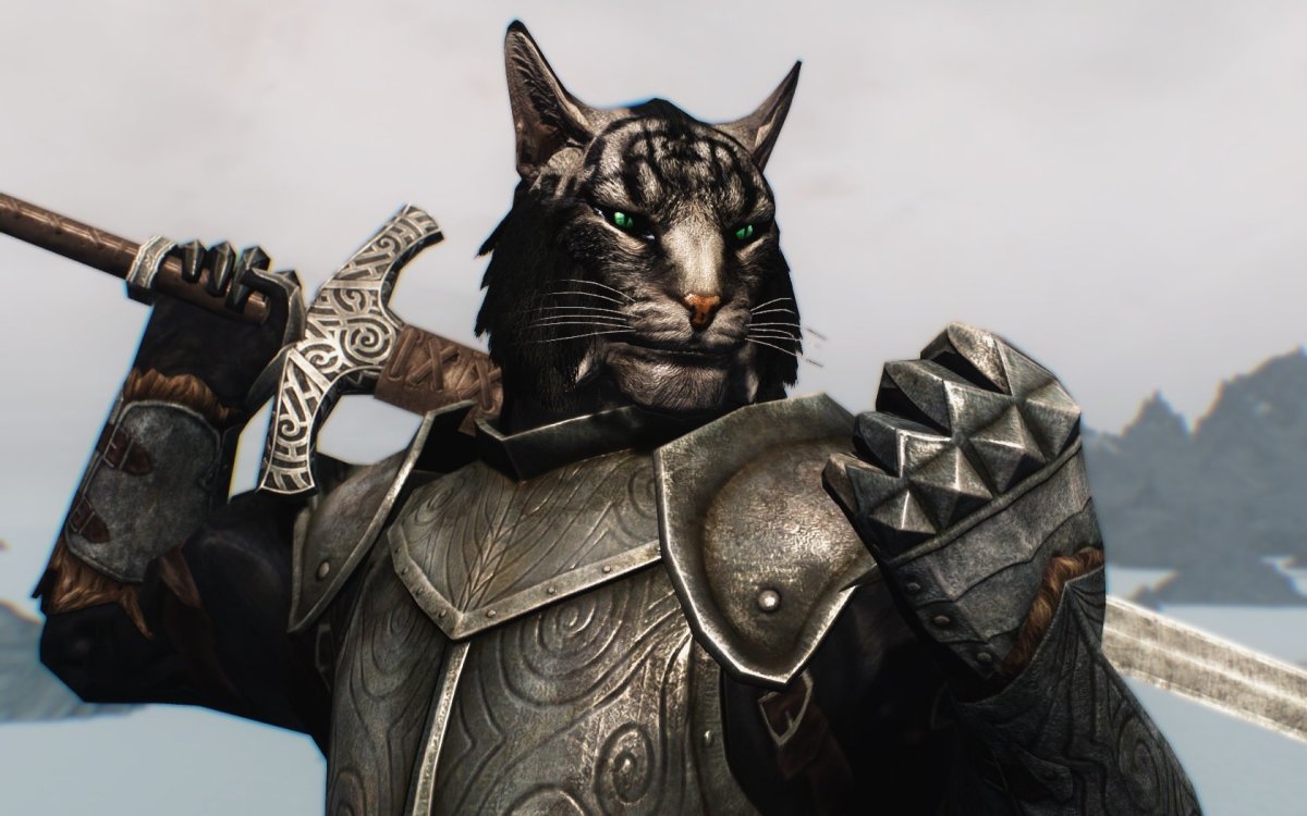 Боевые коты