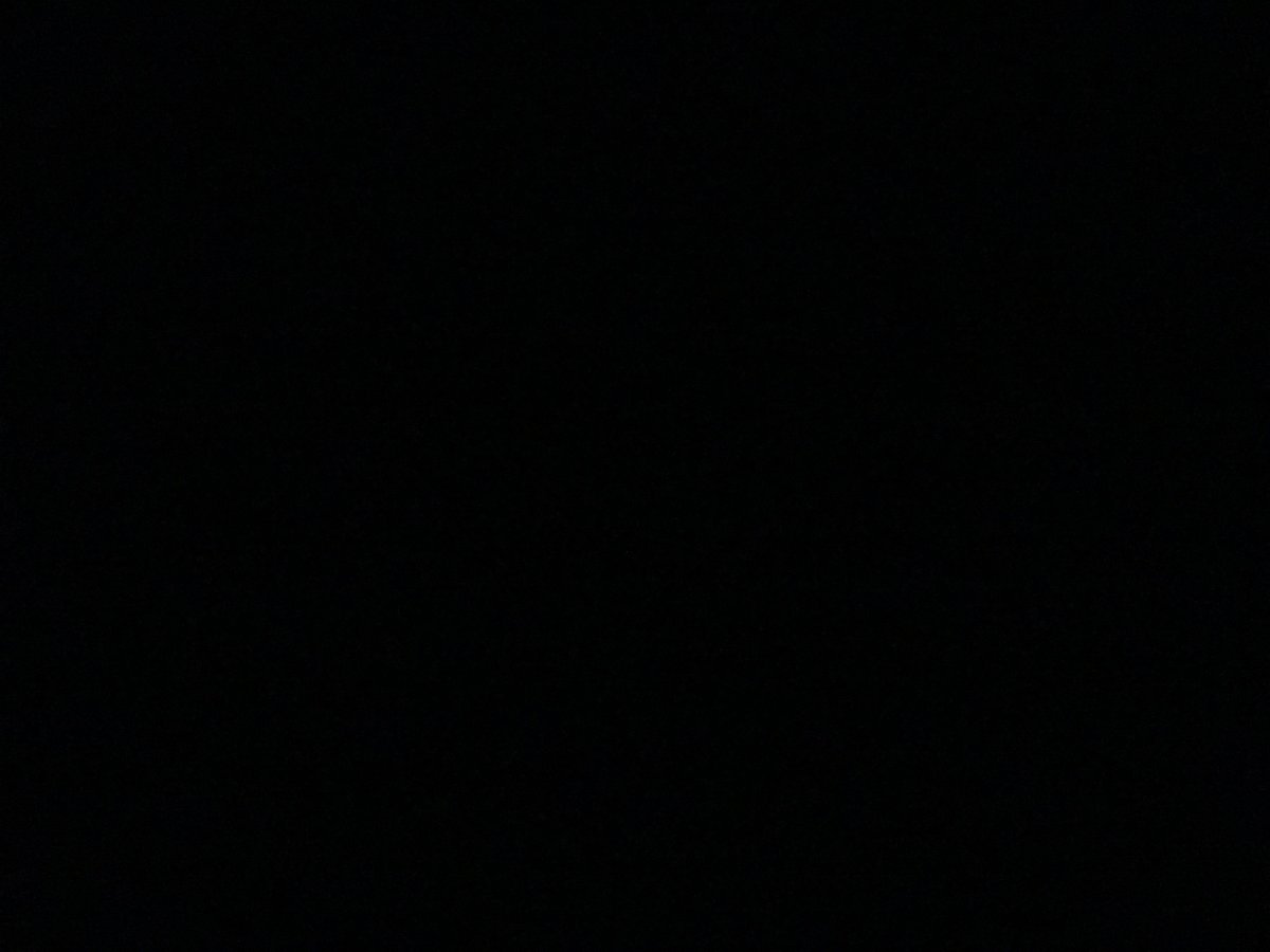 Борис Заходер носорог