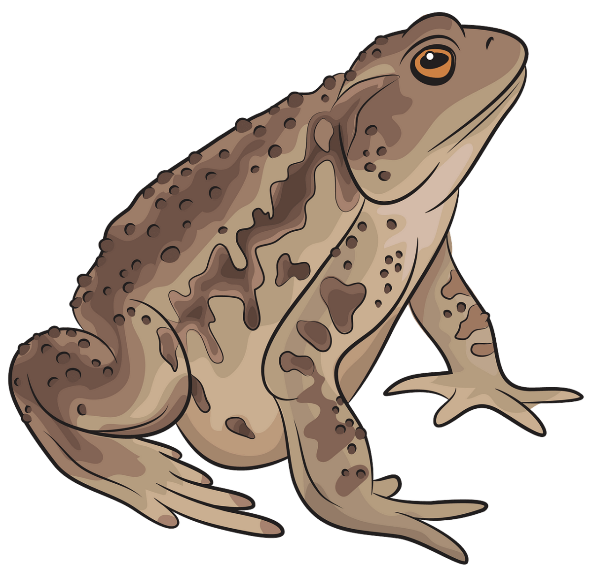 Б Заходер Русачок