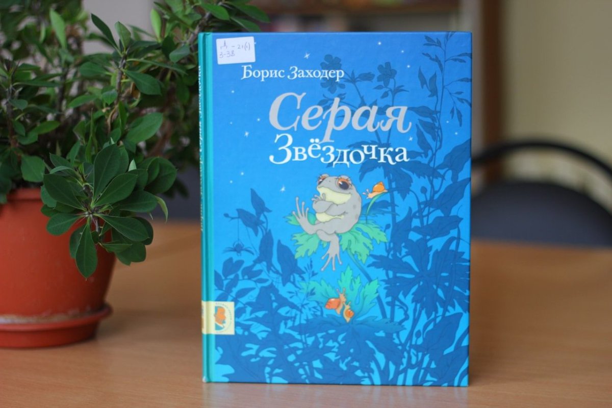 Серая Звёздочка книга