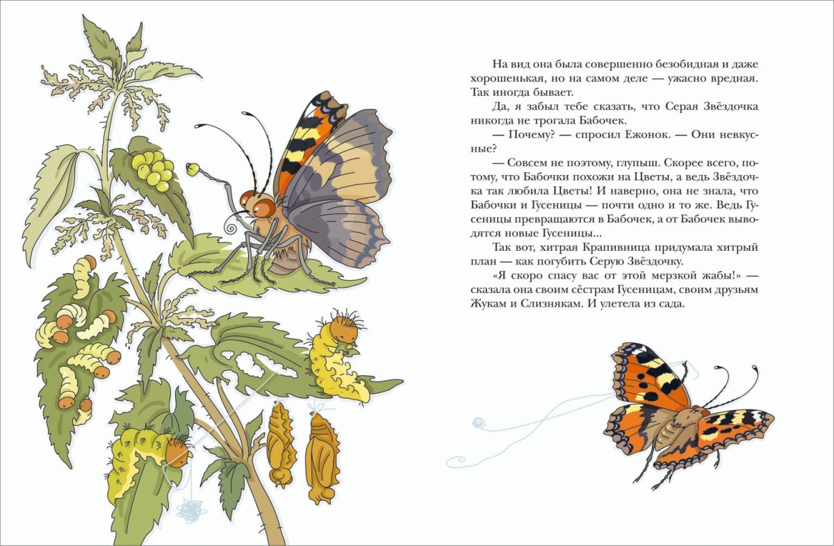 Борис Заходер серая Звездочка рисунок