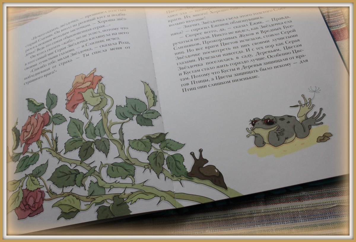 Иллюстрация серая Звездочка