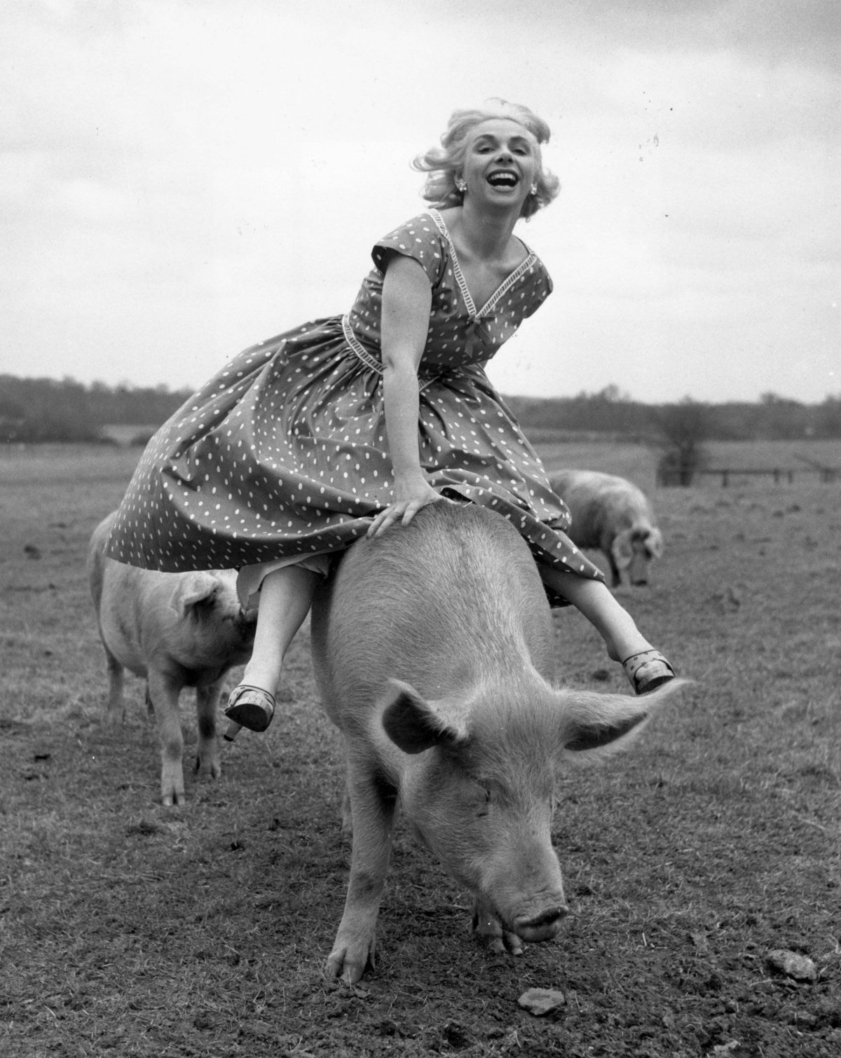 Интересное ретро