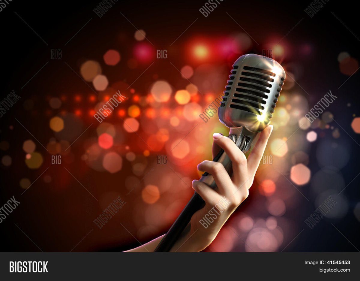 Кошачий концерт