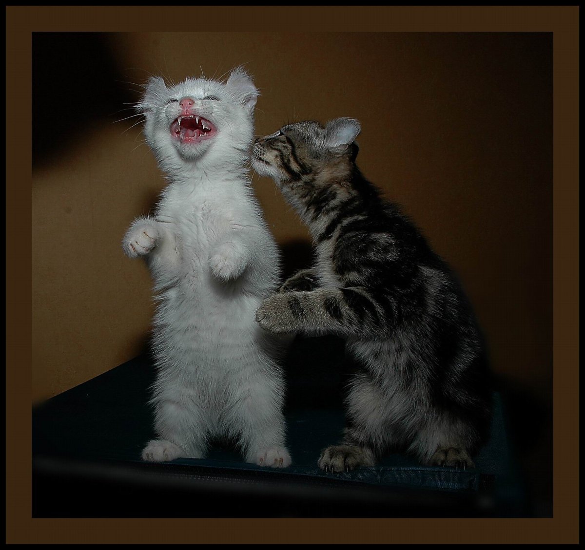 Пойте вместе с нами