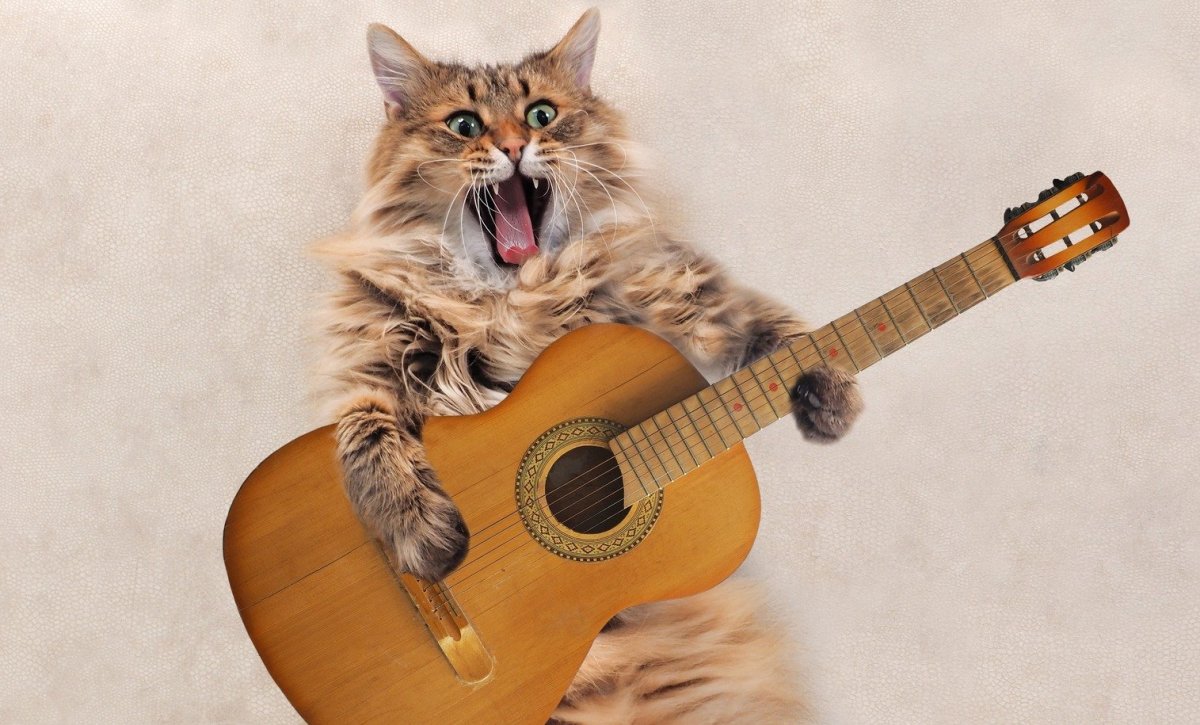 Сольное пение