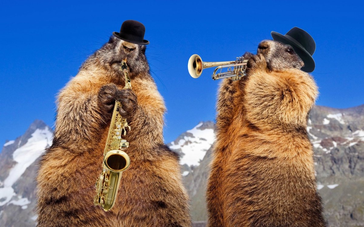 Гордый волк Мем