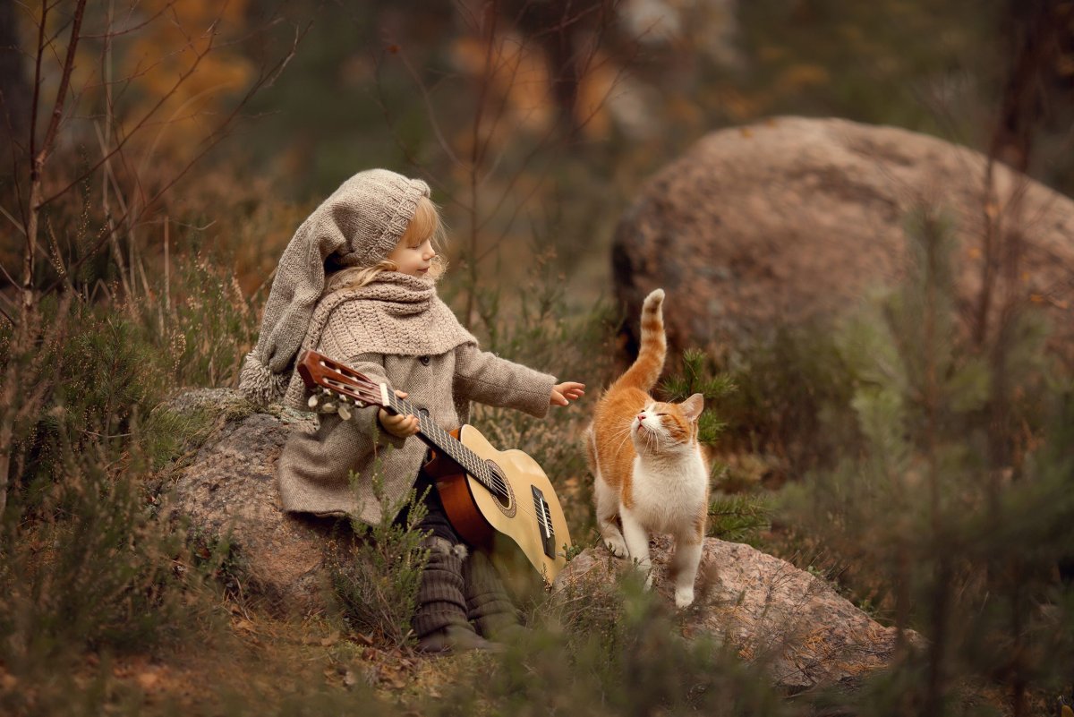 Музыкальная заставка