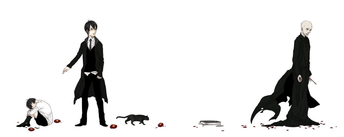 Гарри и Беллатриса арт