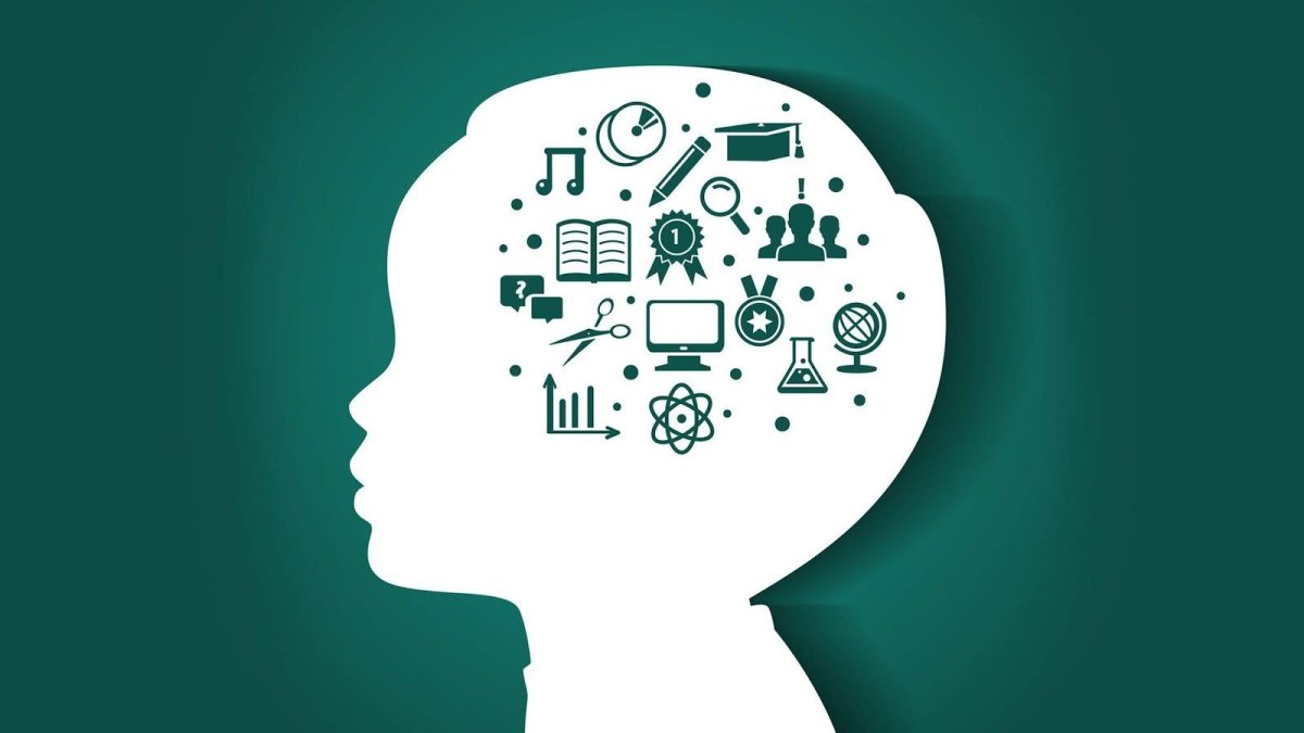 Нейропсихология мозг