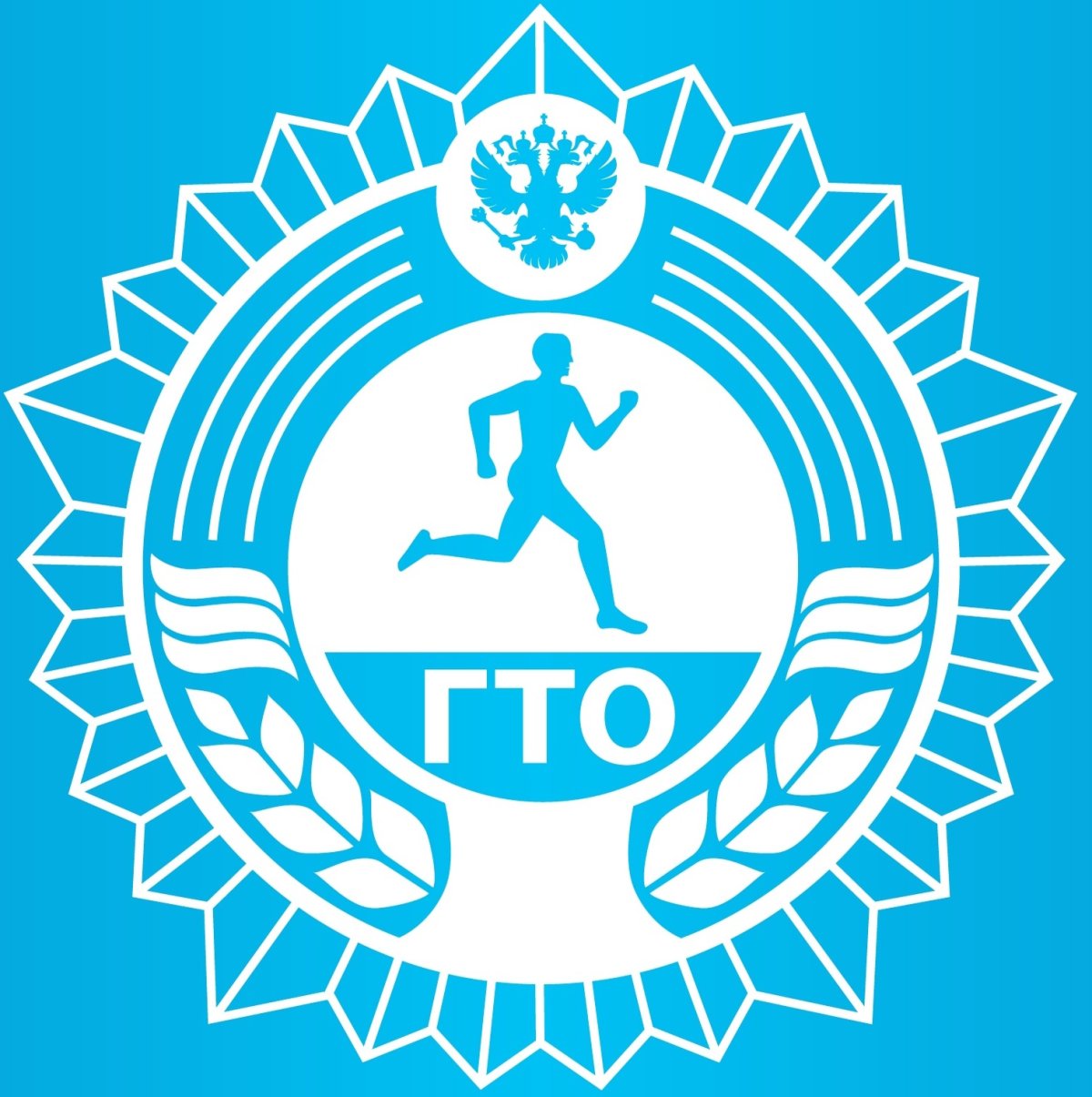 Фестиваль ГТО фон