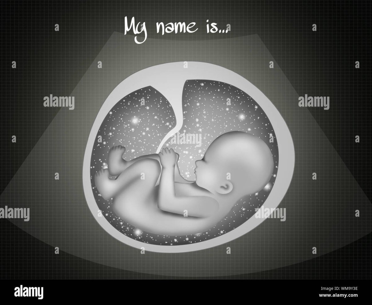 Фотосессия беременных с едой