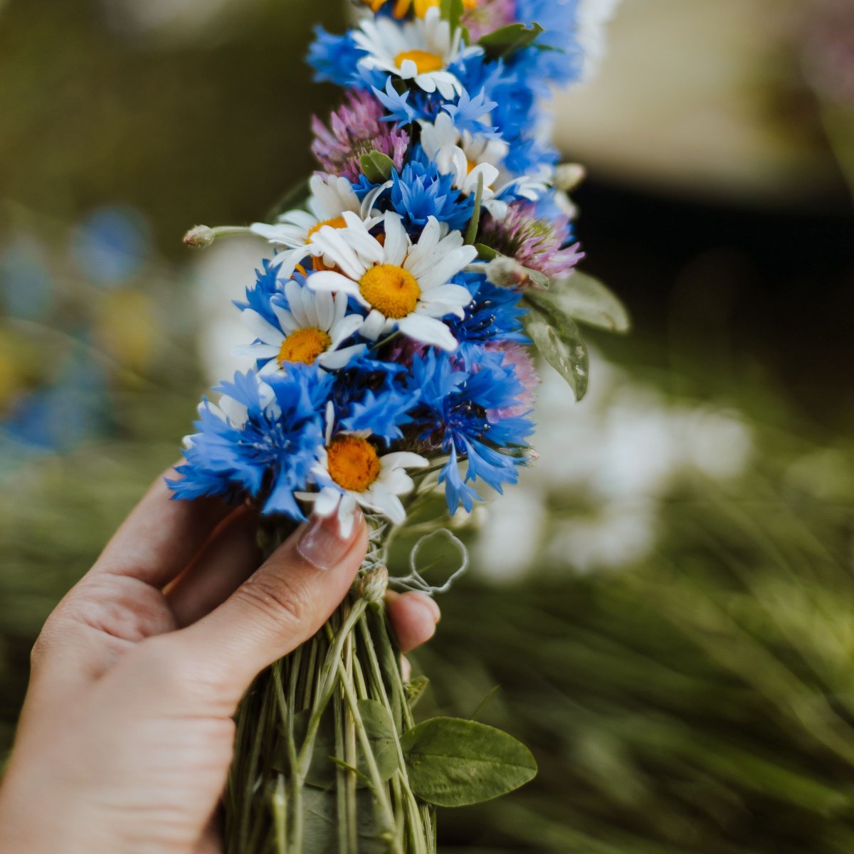 Венок из ромашек и Васильков