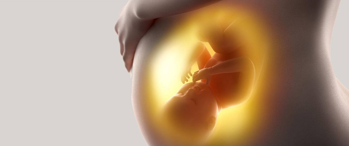 Разрисованные животики беременных