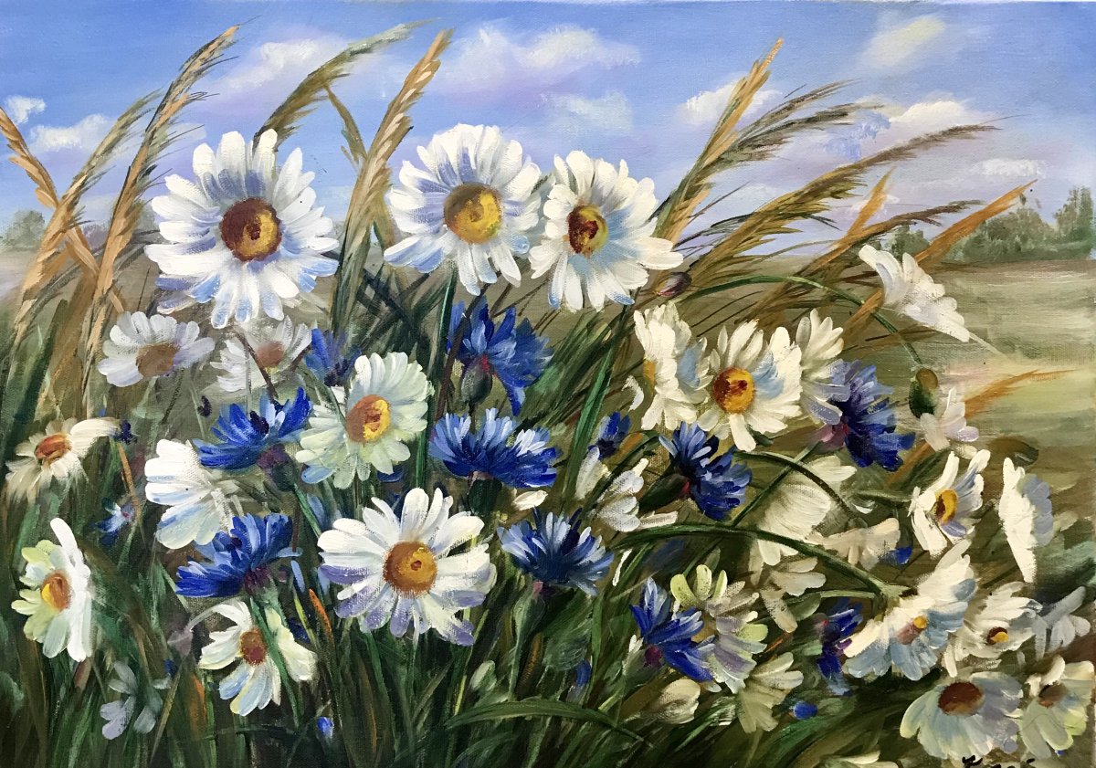 Ромашки живопись маслом