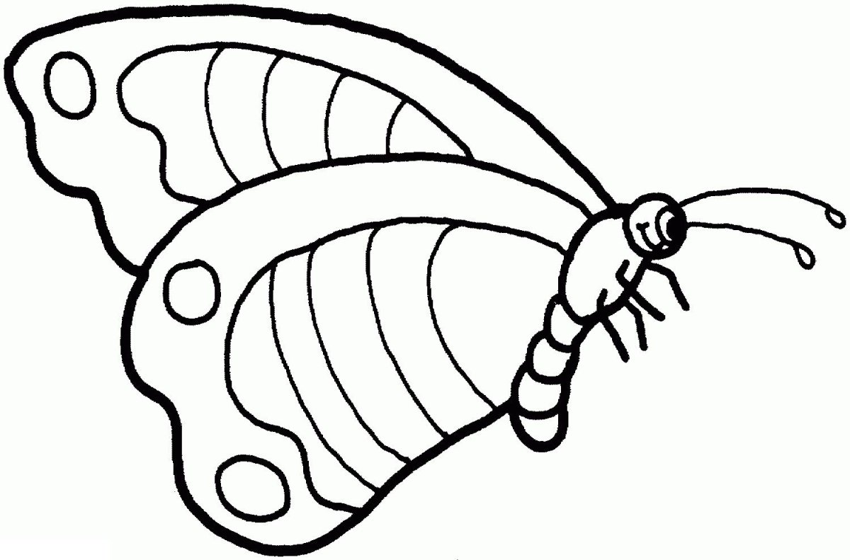 Раскраски Тип