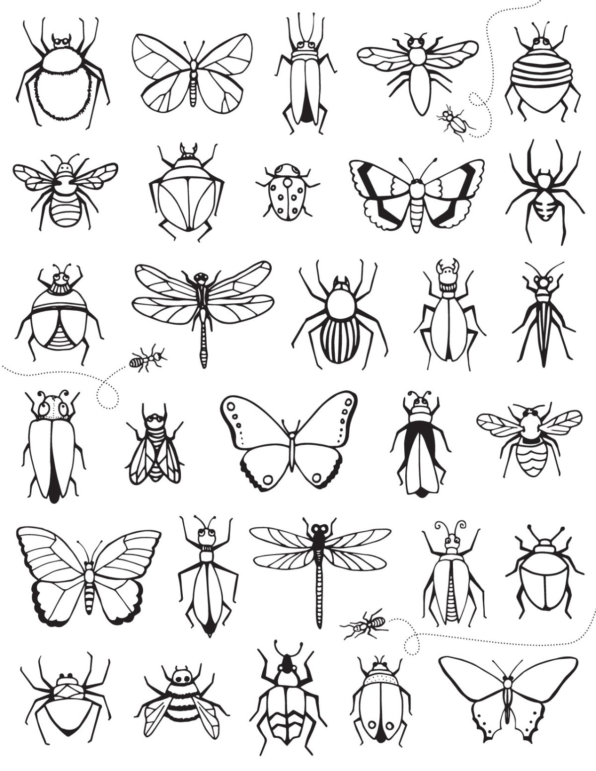 Раскраска Божья коровк