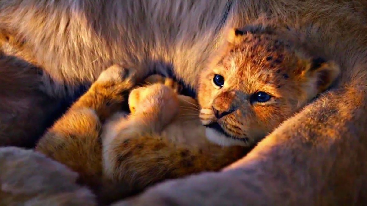 Пятнистый Львенок