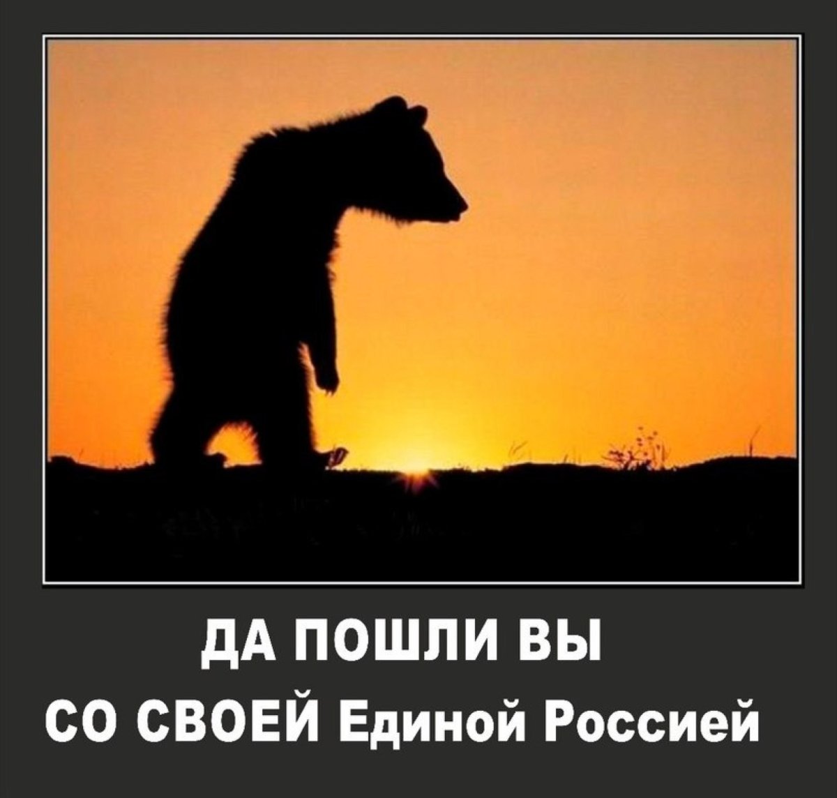 Ксюшадь мемы