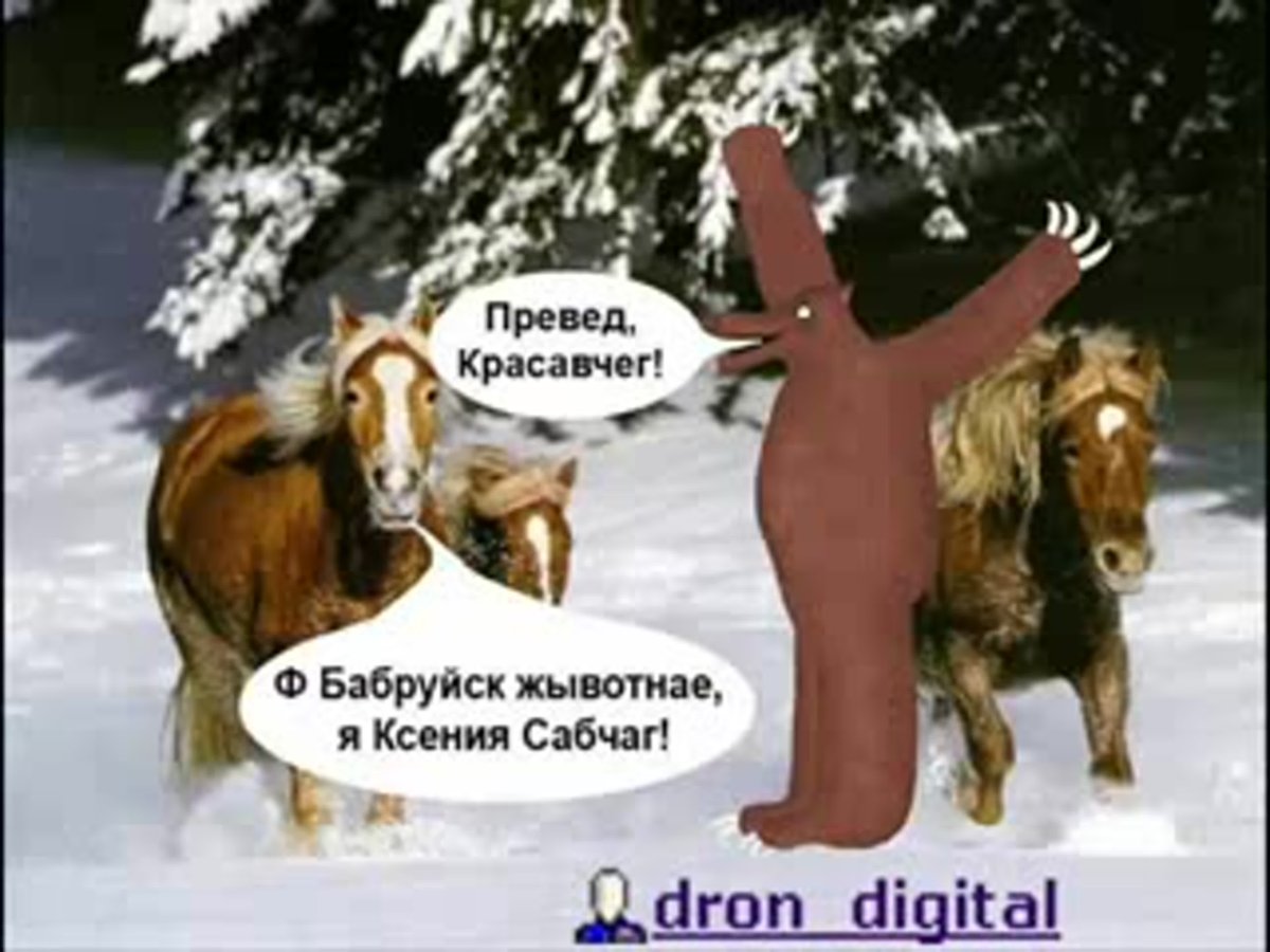 Медведь из кустов