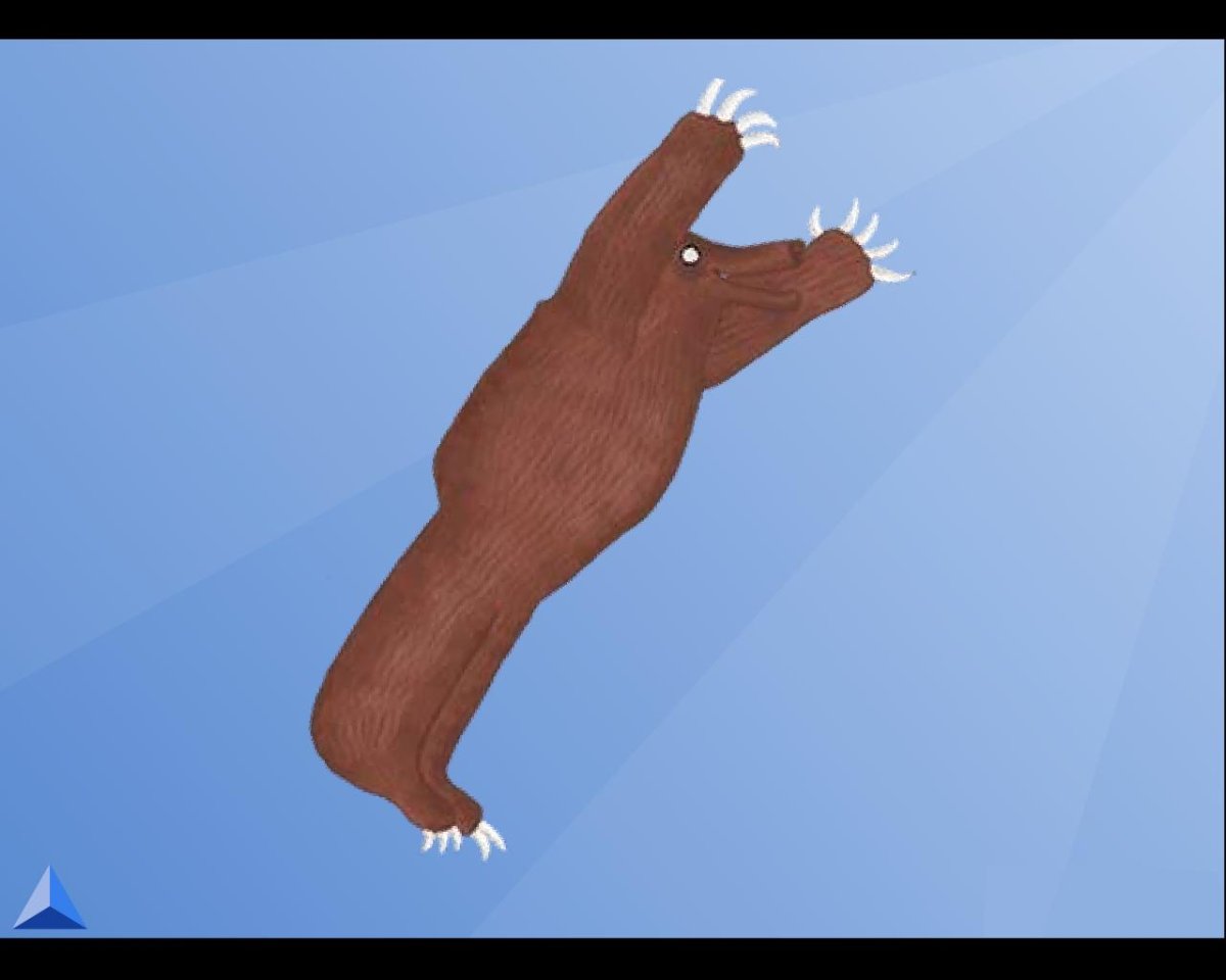 Ольга Баранцева и медведь Степан