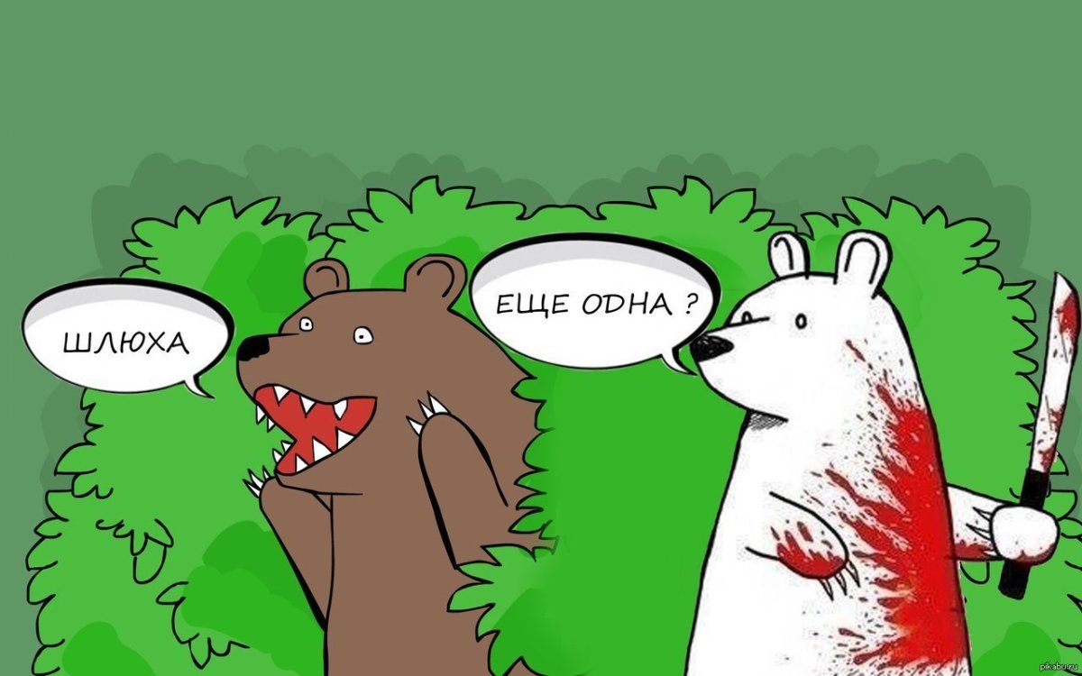 Белка ши и медведь