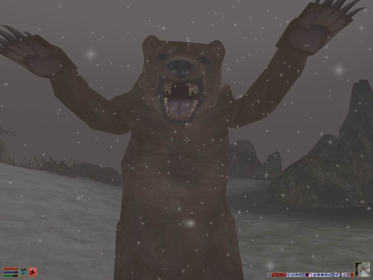 Медведь обнимает