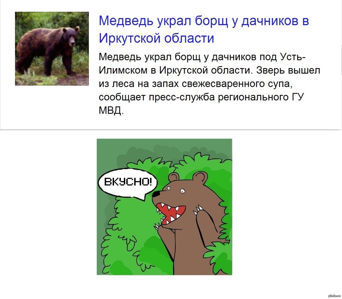 Медведь из кустов