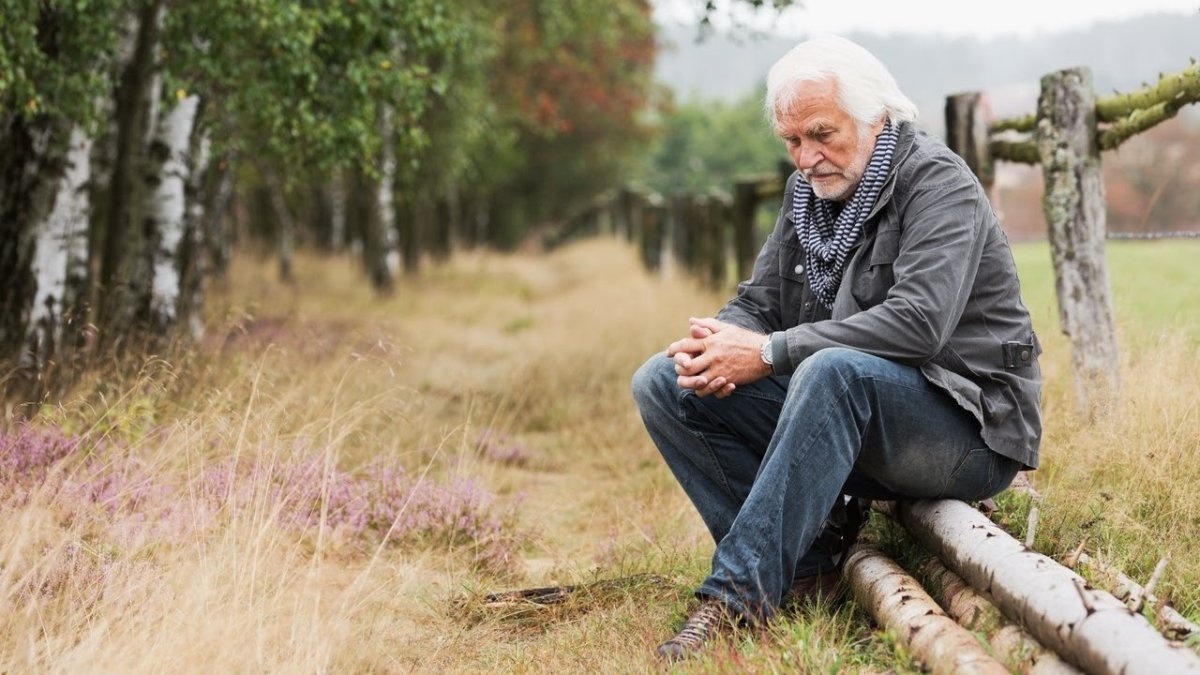 Дедушка сидит