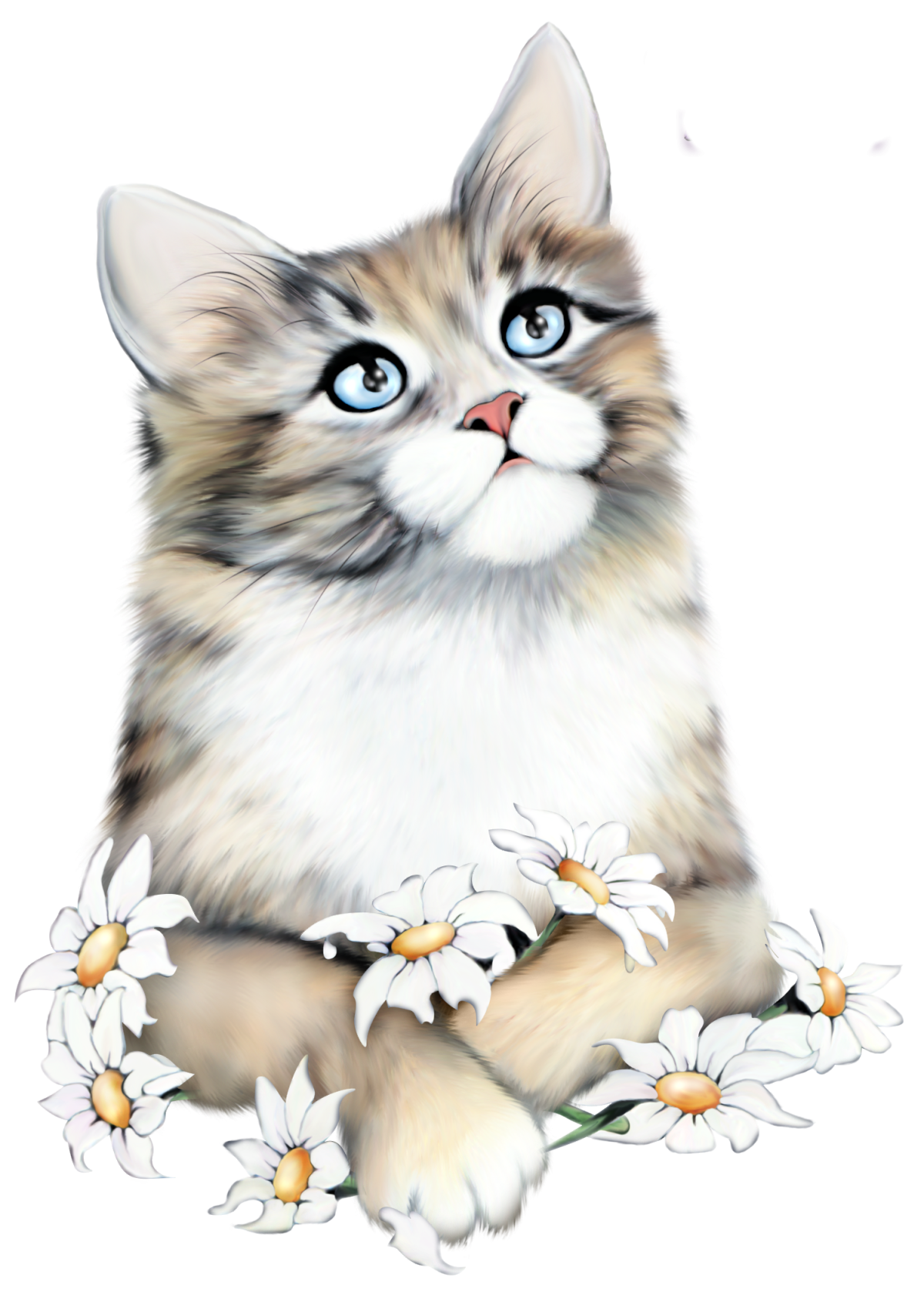 Кошечка на прозрачном фоне