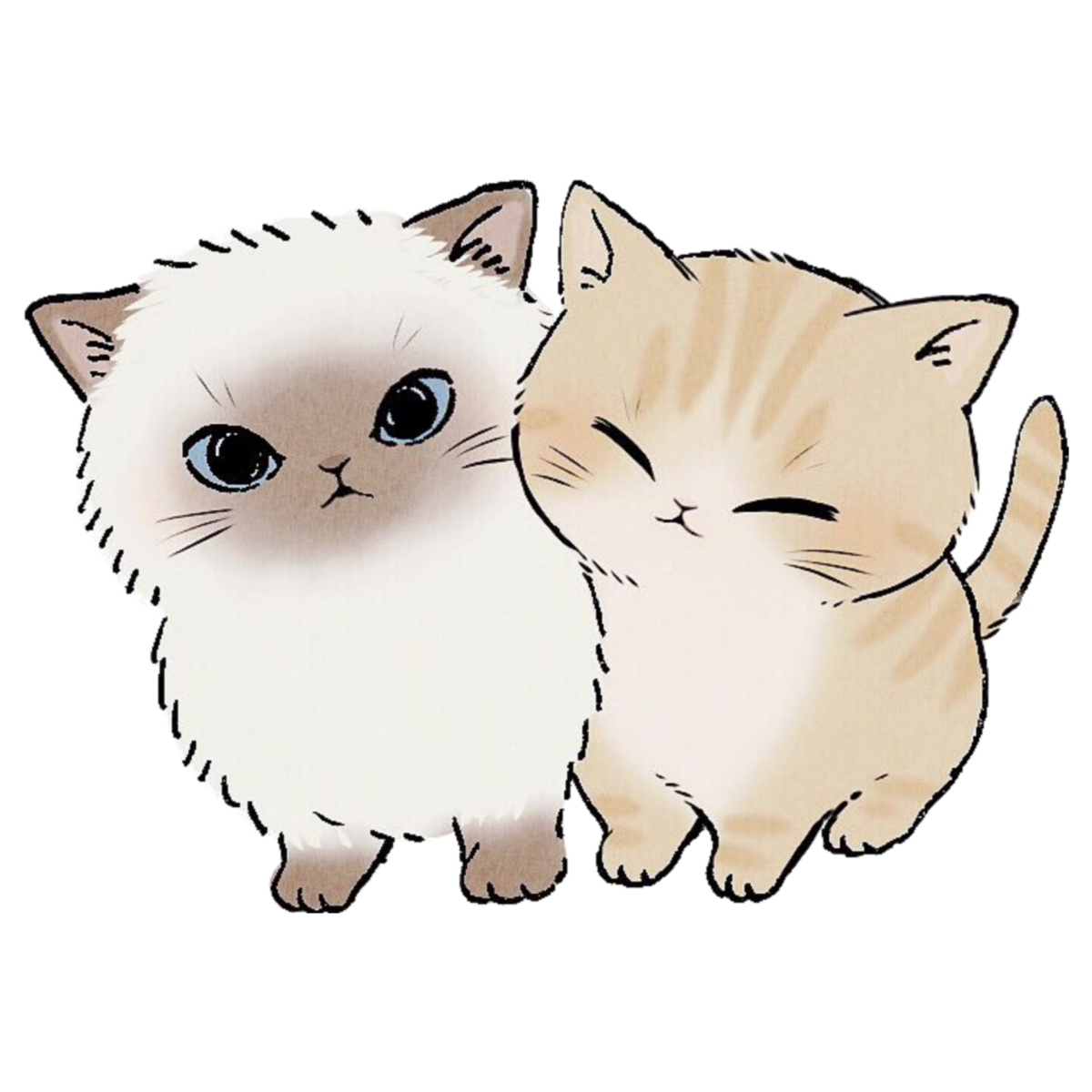 Милый котик рисунок